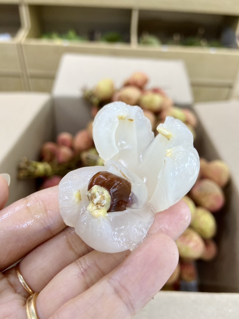 Vải U Hồng Đắk Lắk