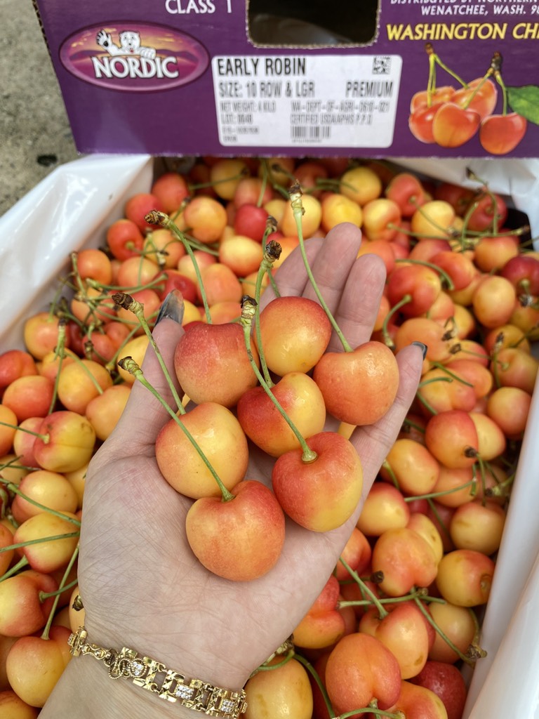 Cherry vàng Mỹ Nordic size 10