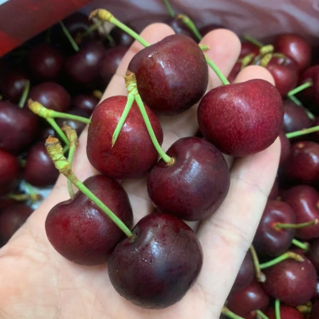 Cherry Úc Buffalo s28-30