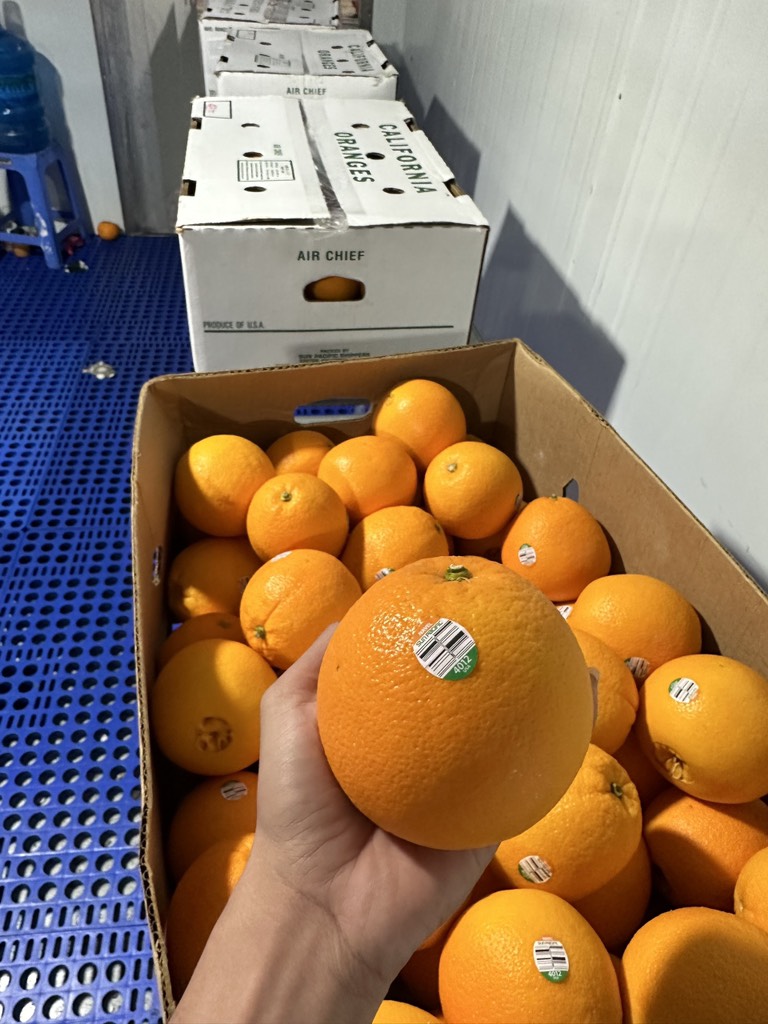 Cam Mỹ Airchief sz 48