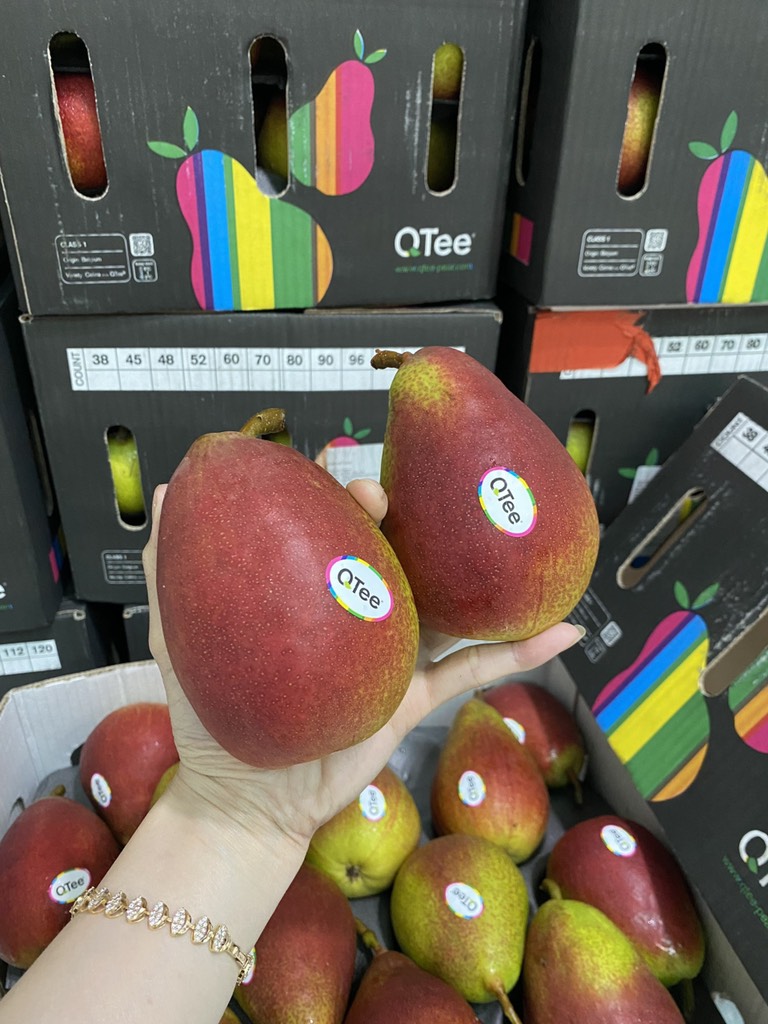 Lê Bỉ đỏ size 45