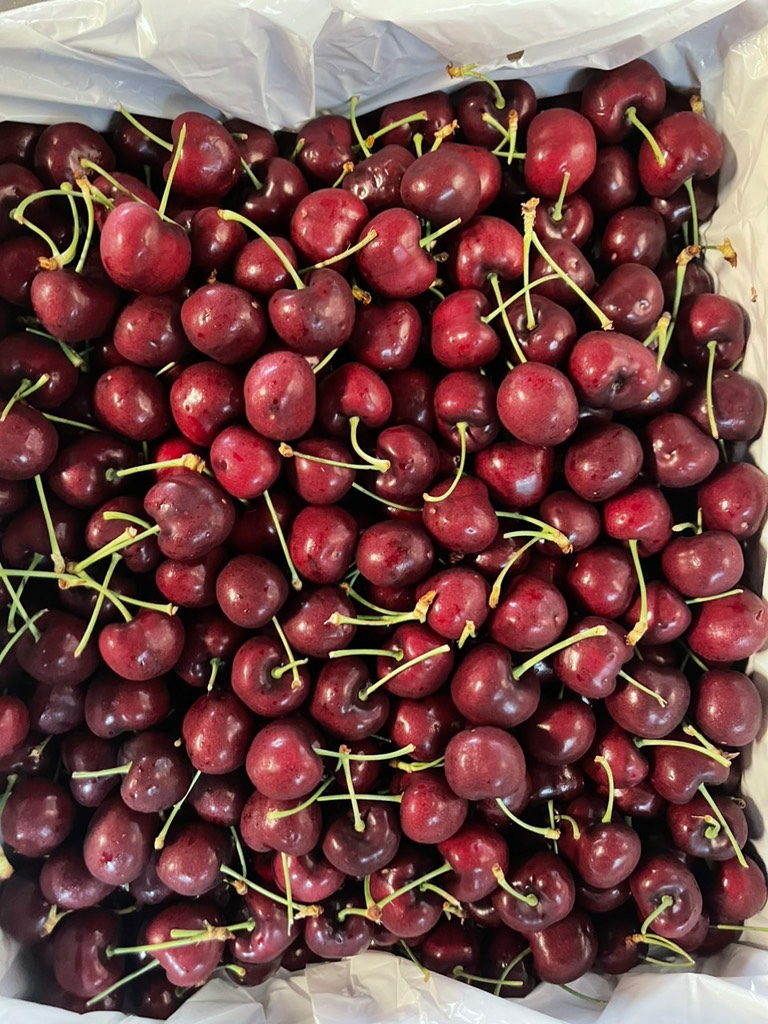 Cherry Mỹ ZIRKLE size 9
