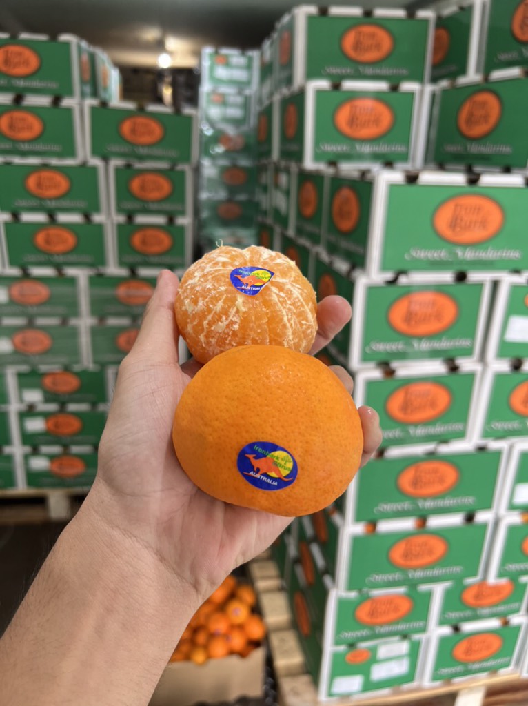 Quýt Úc Iron size 56