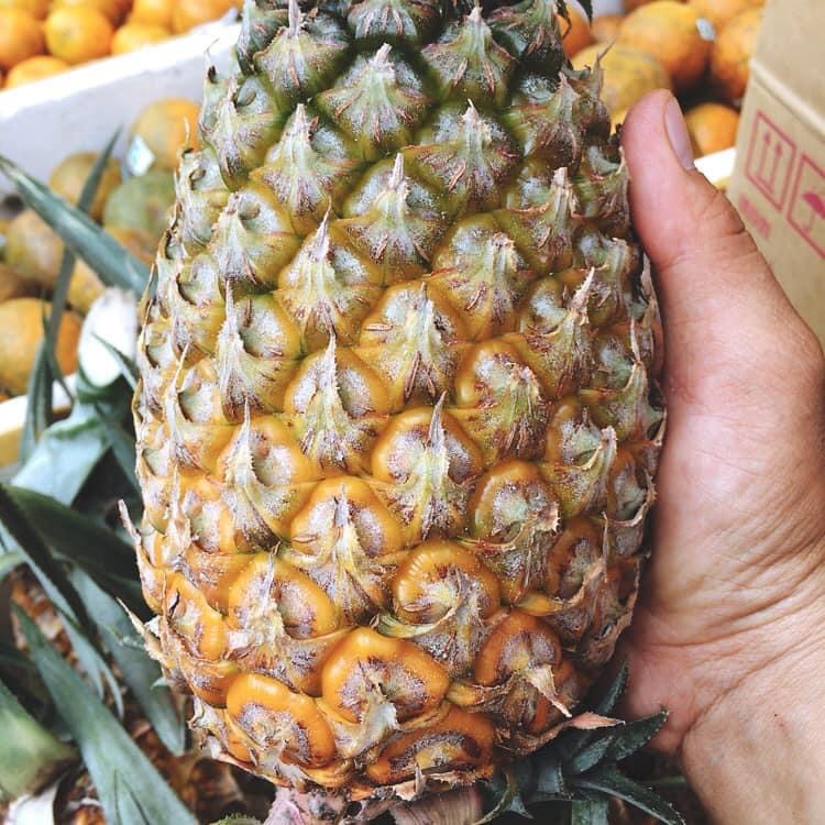 Khóm (thơm) Tắc Cậu