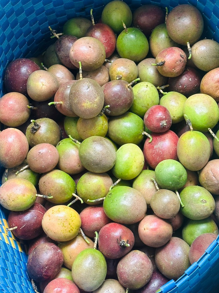 Chanh dây (chanh leo)