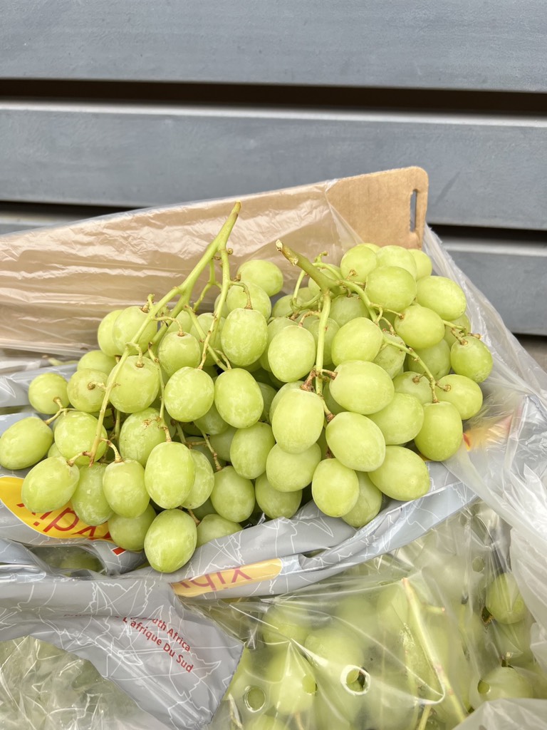 Nho Xanh sweet global Hydix Nam Phi (air)