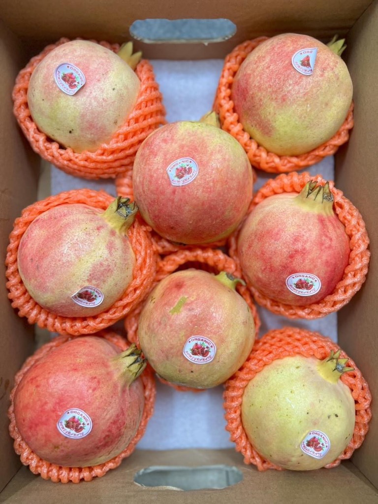 Lựu (Pomegrante) Trung xuất Thái size 8-9-10