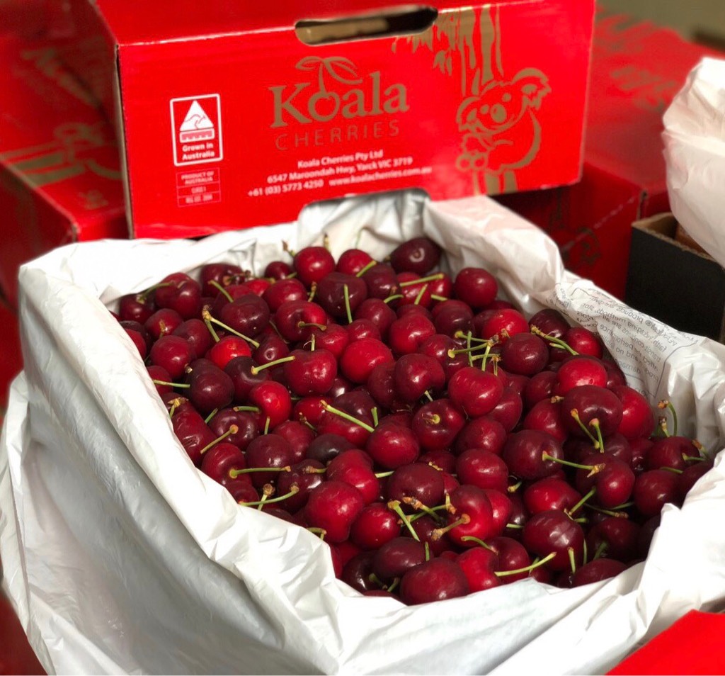 Cherry đỏ samba Úc Kaola size 28-30