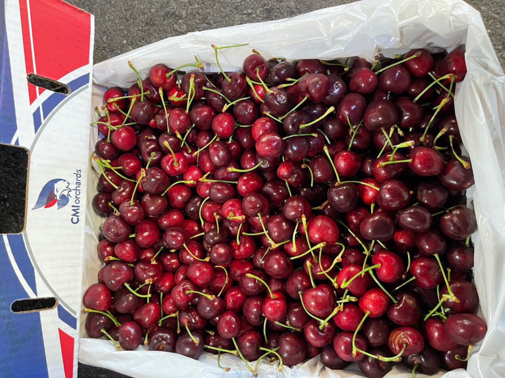 Cherry Mỹ CMI size 9