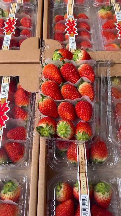 Dâu Hàn tem nơ 330g