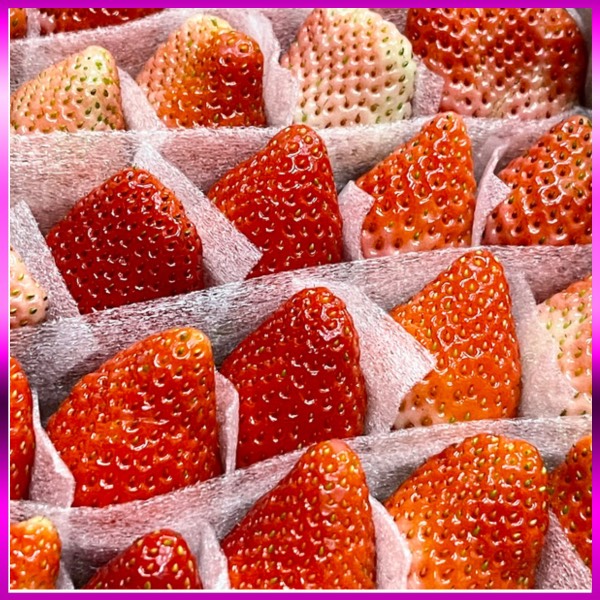 Dâu Tây giống Nhật size C (49 trái) hộp 500gr