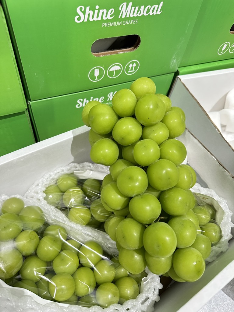 Nho mẫu đơn Đài Loan