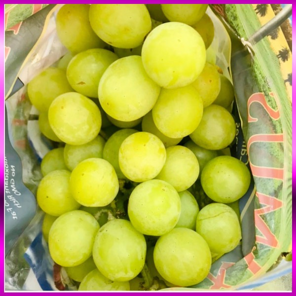 Nho xanh Mỹ Maximus