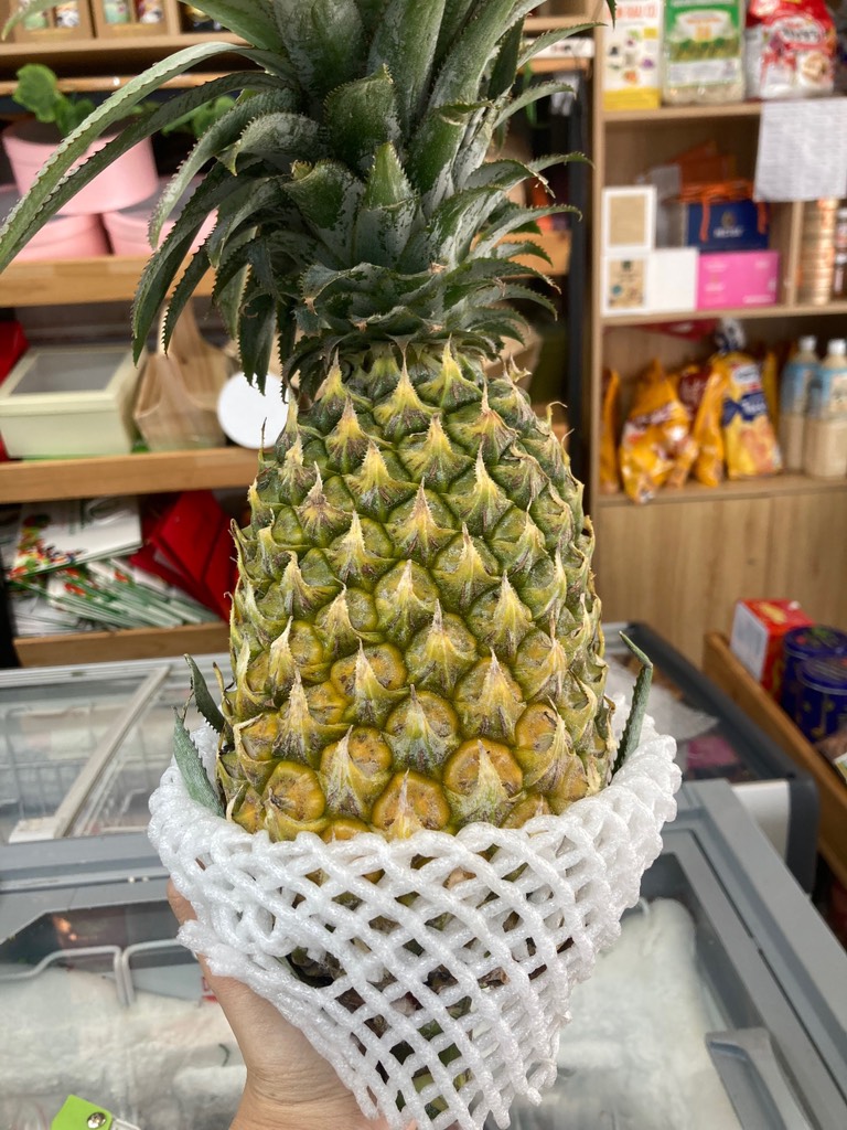 Khóm (thơm) Tắc Cậu