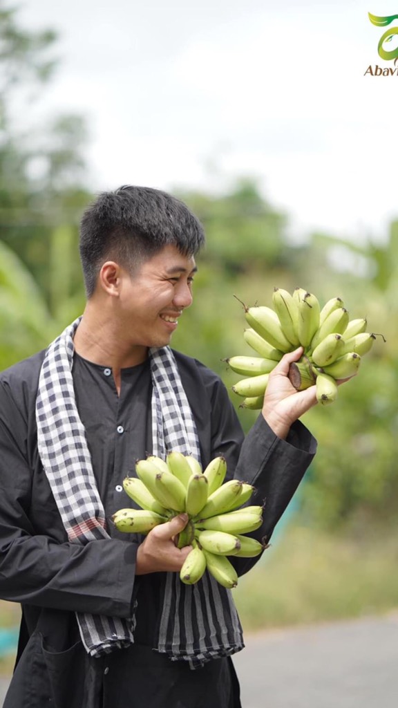 Chuối Cau Abavina