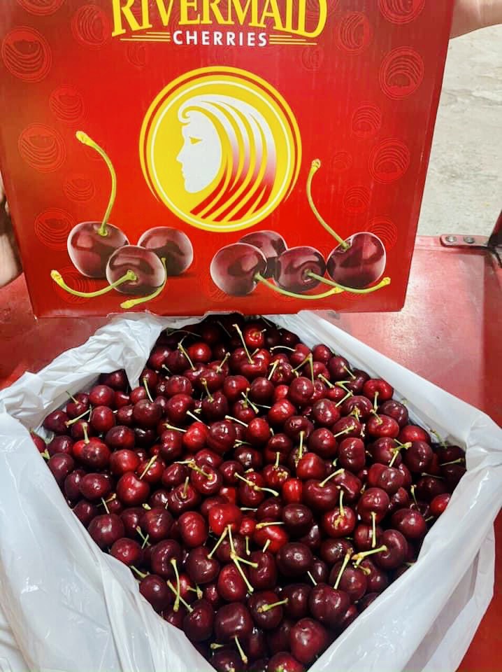 Cherry Mỹ Rivermaid size 9.5