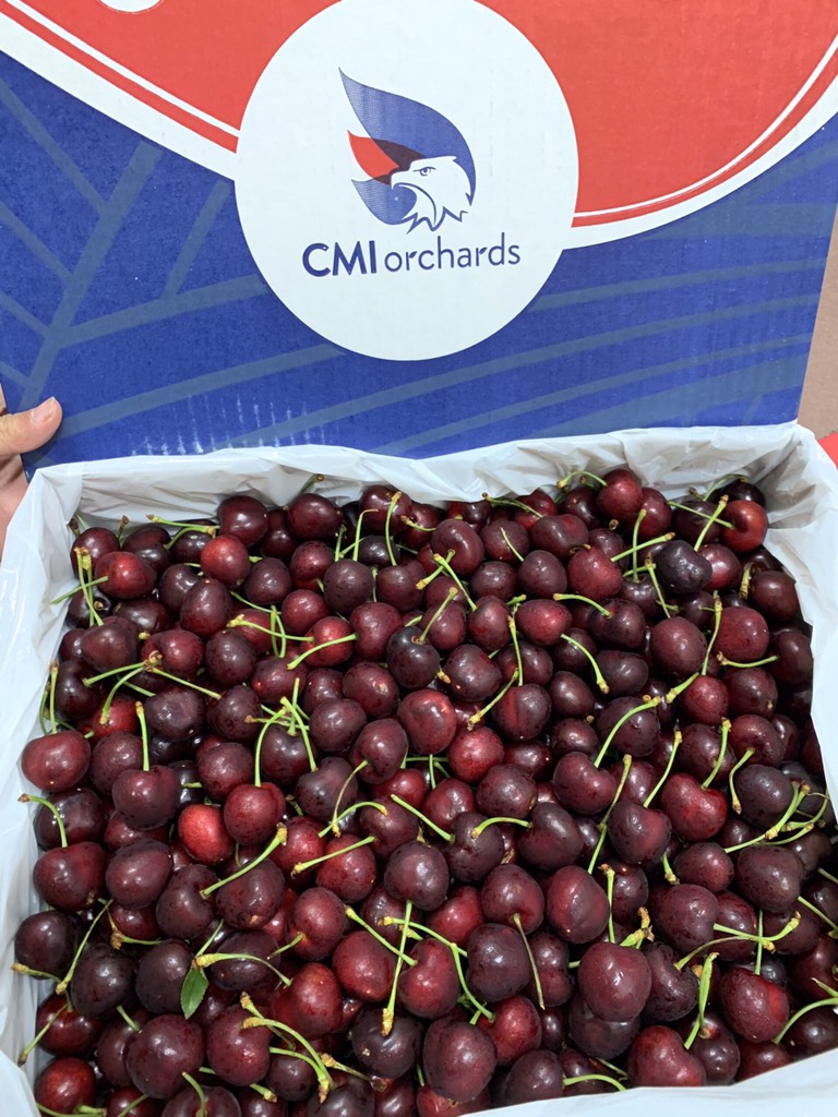 Cherry Mỹ CMI size 9