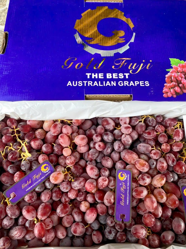 Nho đỏ Long Crimson/Oliver