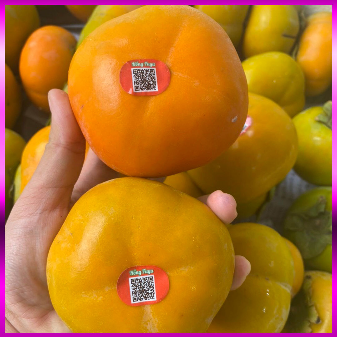 Hồng giòn Fuju (Fuyu/Fuji)