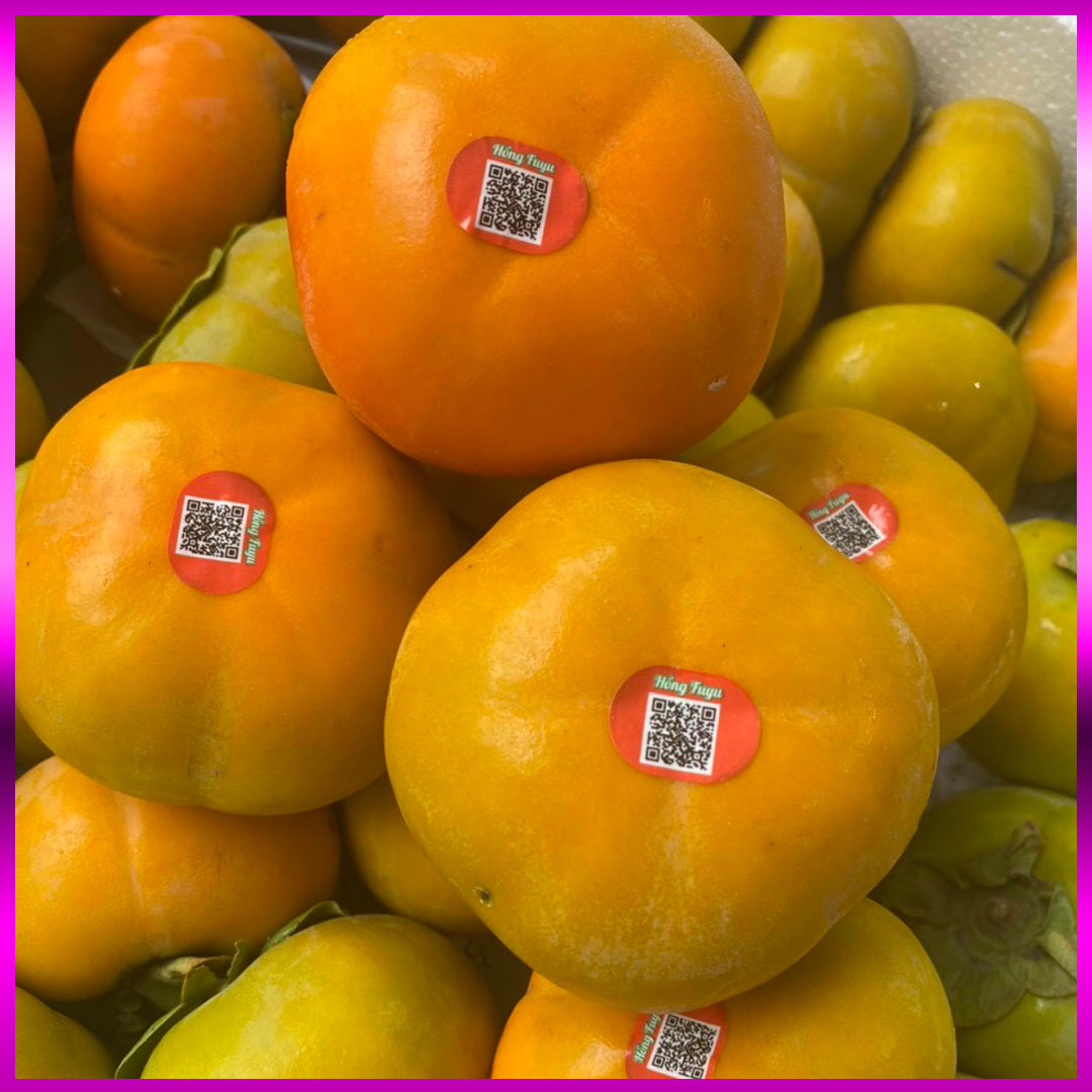 Hồng giòn Fuju (Fuyu/Fuji)