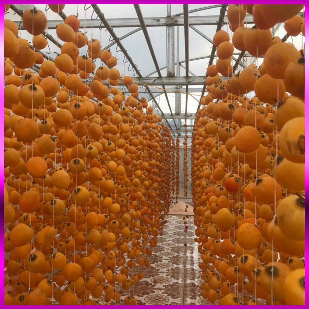 Hồng treo gió Đà Lạt hộp 500g