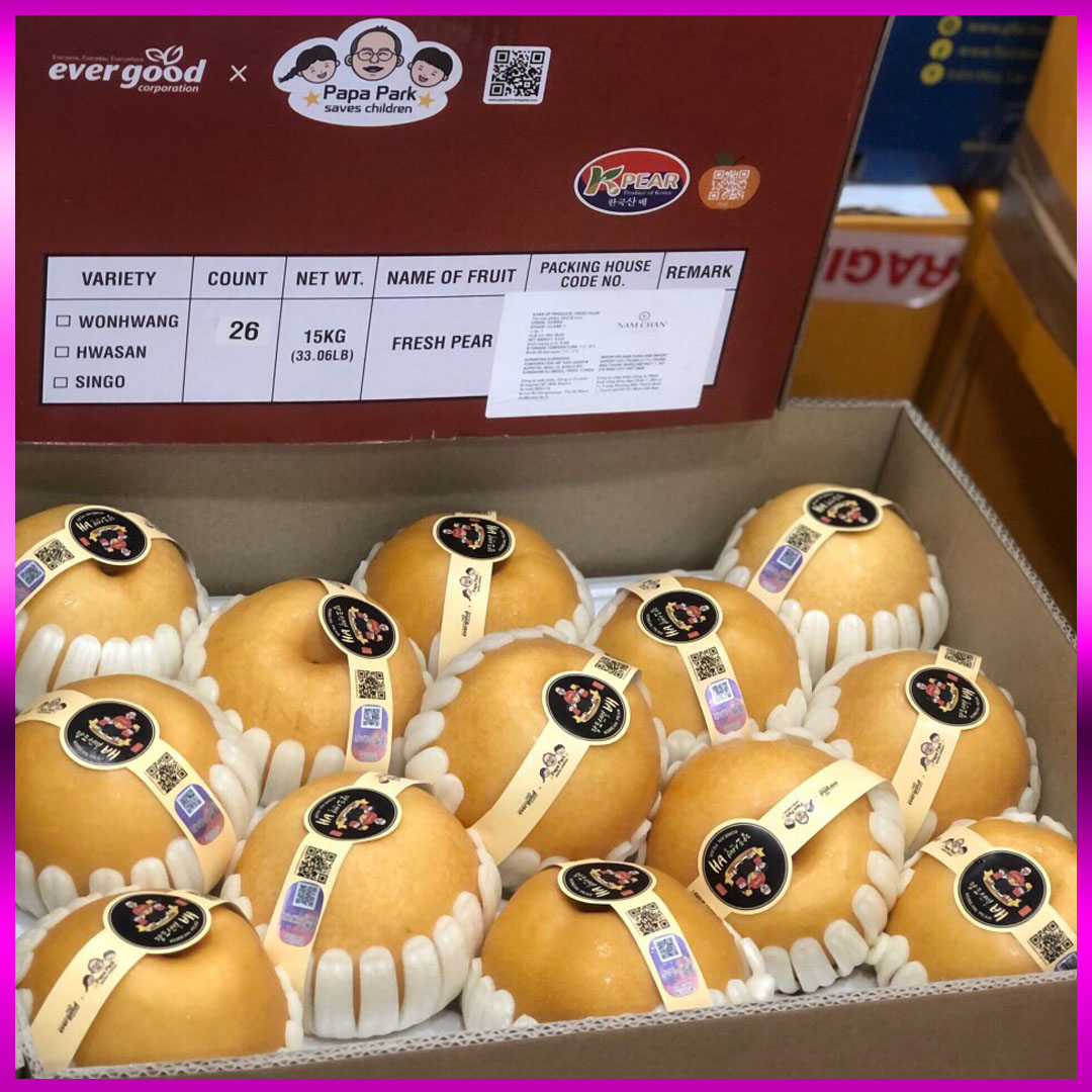 Lê Singo Hàn Quốc Everygood size 26