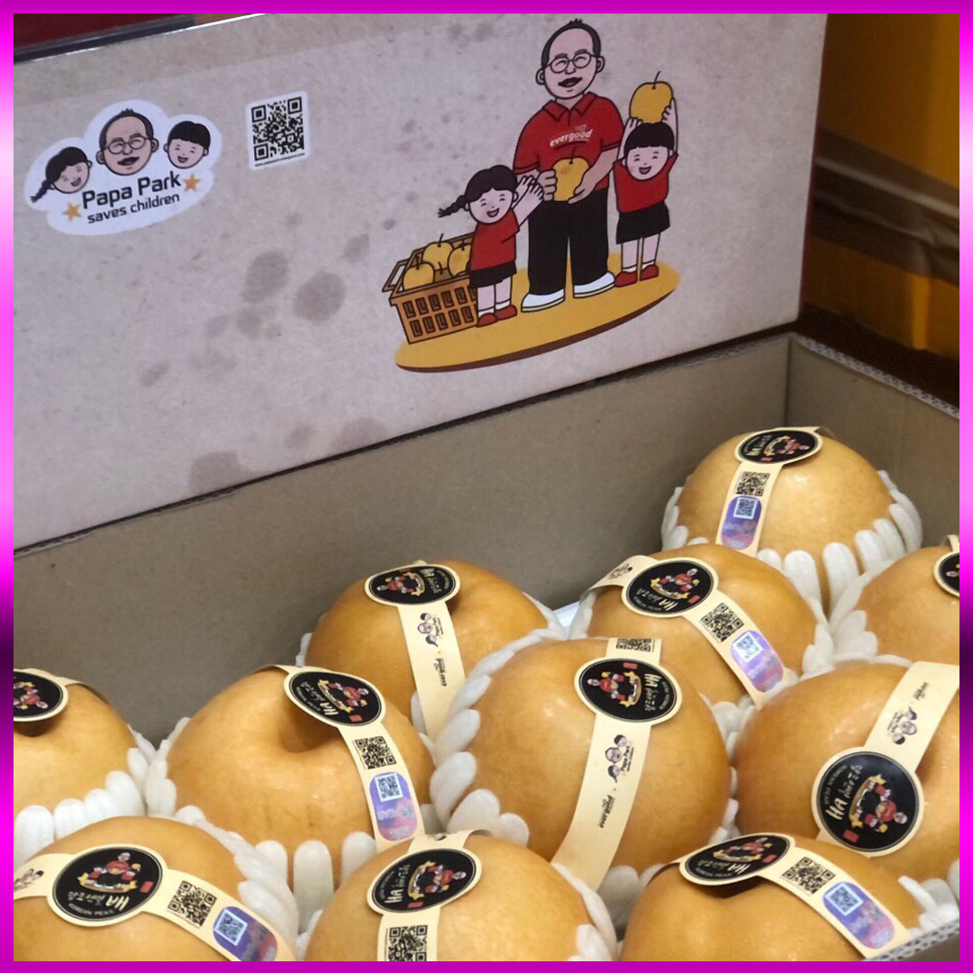 Lê Singo Hàn Quốc Everygood size 26