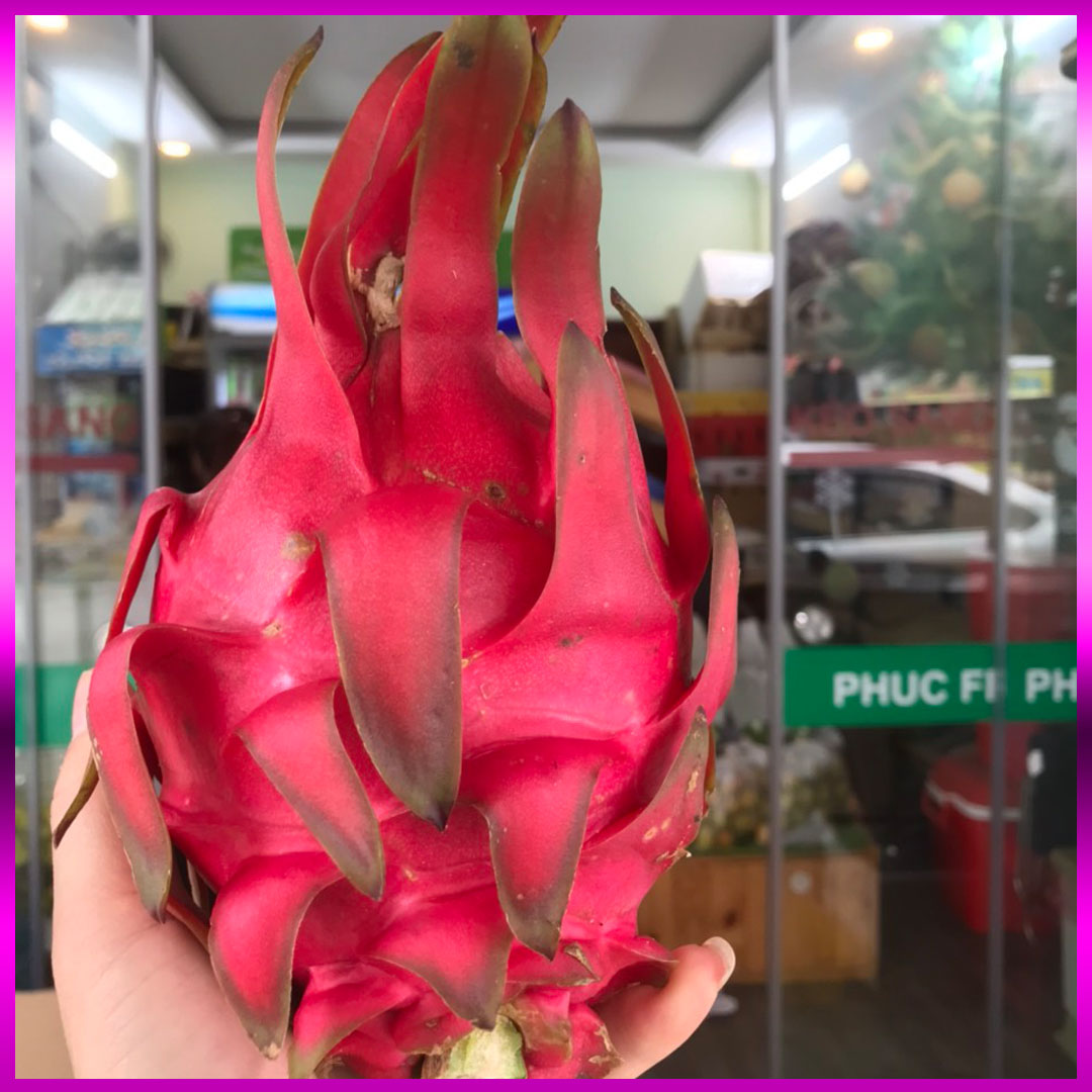 Thanh long ruột tím hồng Vietgap/Globalgap