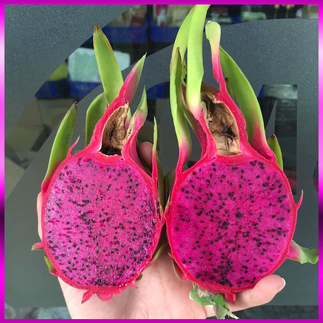 Thanh long ruột tím hồng Vietgap/Globalgap