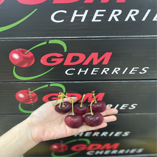 Cherry Mỹ GDM size 9