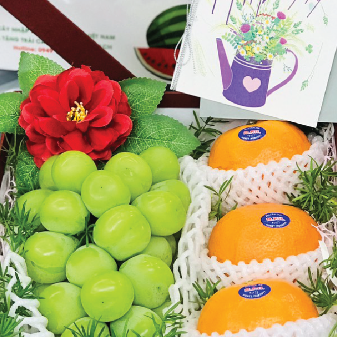 Hộp Quà Cao Cấp Set 36 ( 600k )