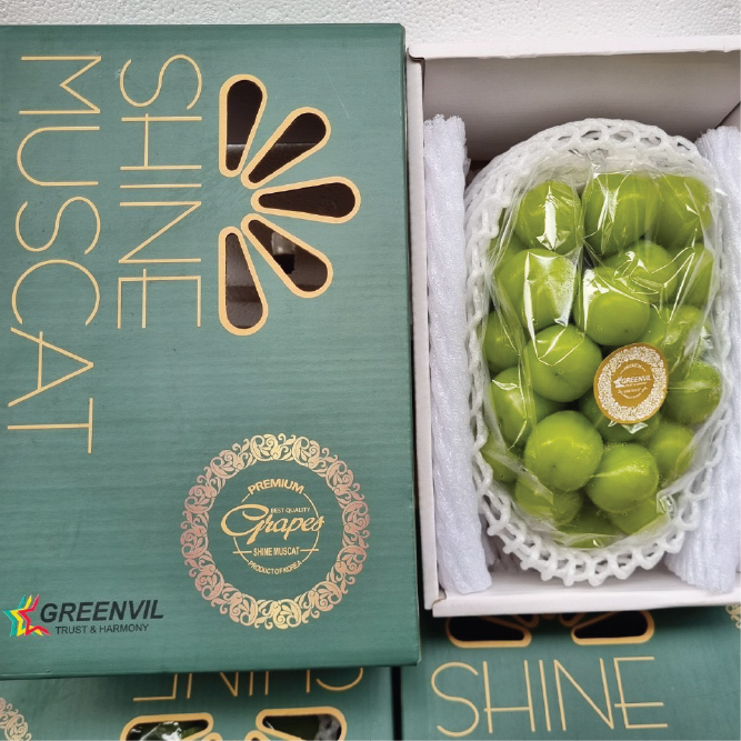 Mẫu Đơn 1 chùm (quà tặng)