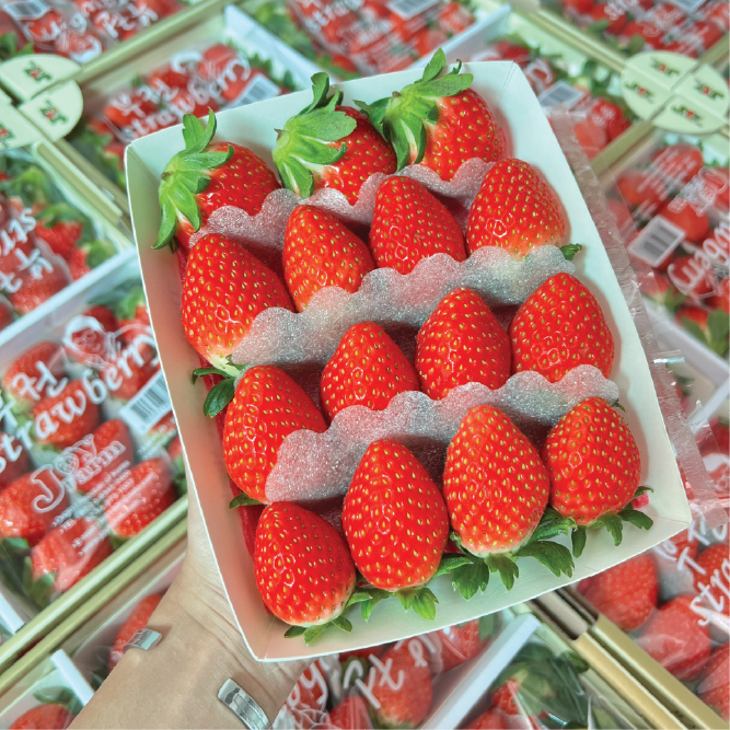 Dâu Hàn JOY Vip (330gr)