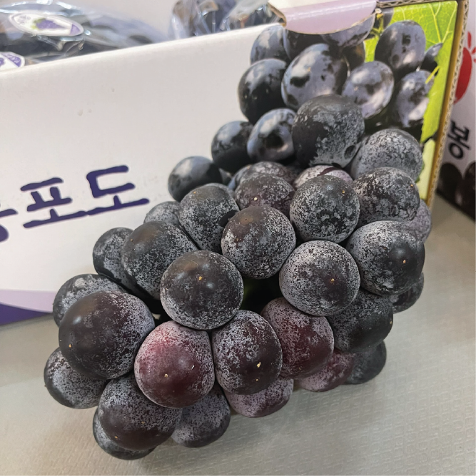 Nho rượu Hàn Quốc Kyoho