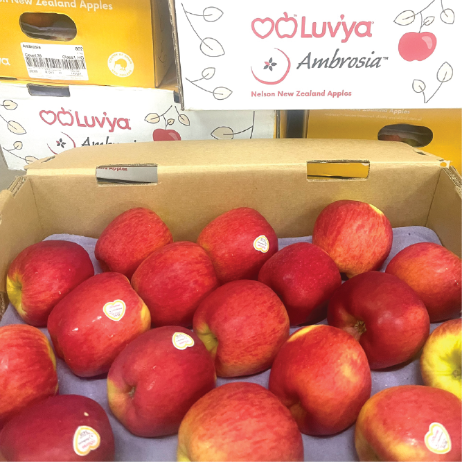 Táo Ambrosia NZ sz 35