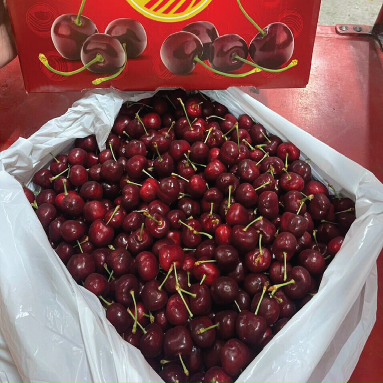 Cherry Mỹ Rivermaid size 9.5