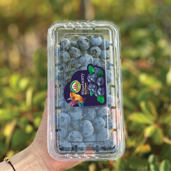 Việt quất Thái hộp 250g