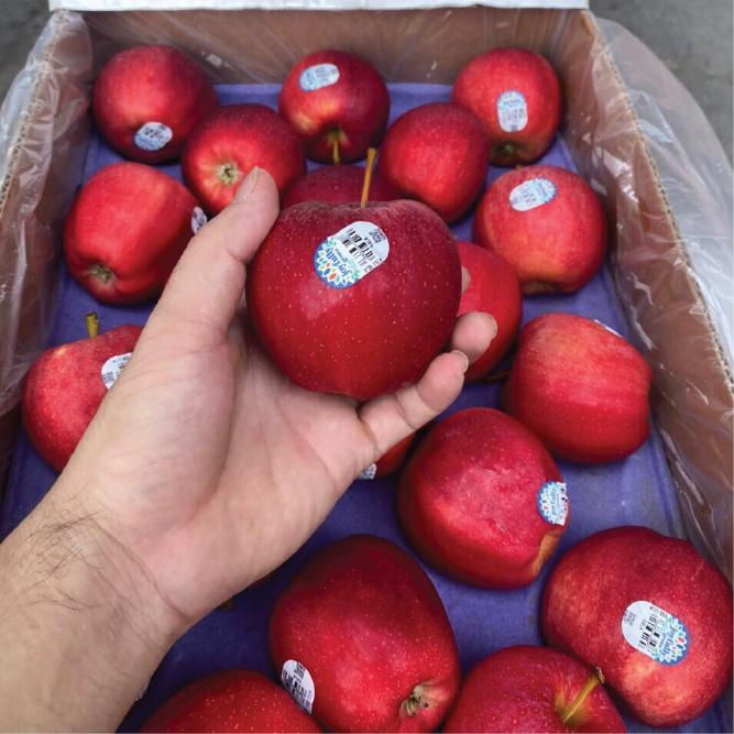 Táo Gala Chelan s113