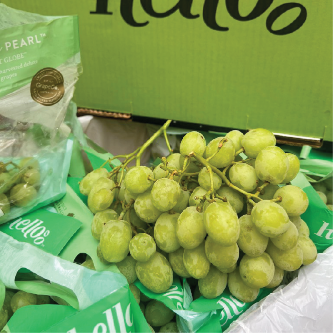 Nho xanh Úc Hello