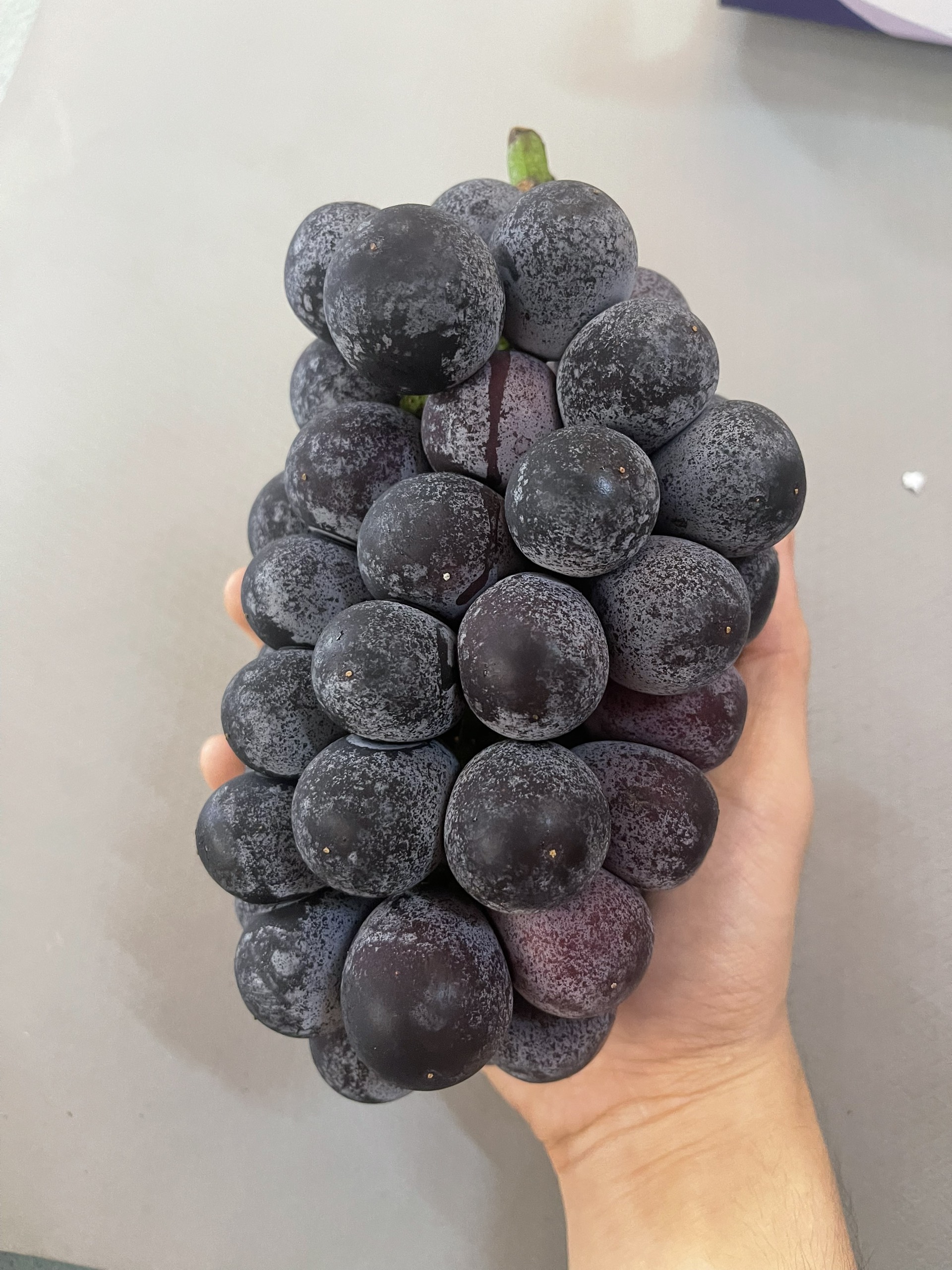 Nho rượu Hàn Quốc Kyoho