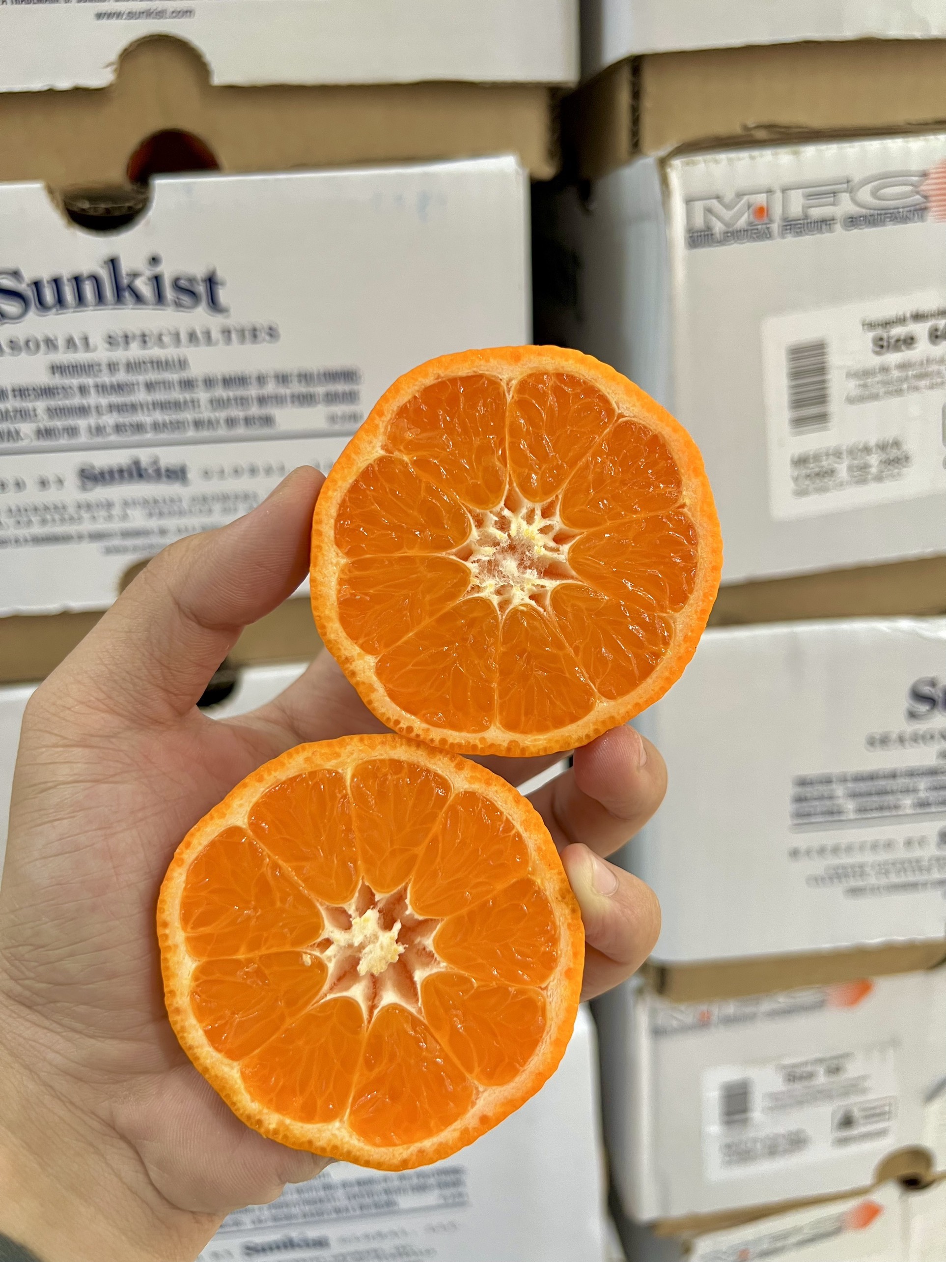 Quýt Úc Sunkist sz 64