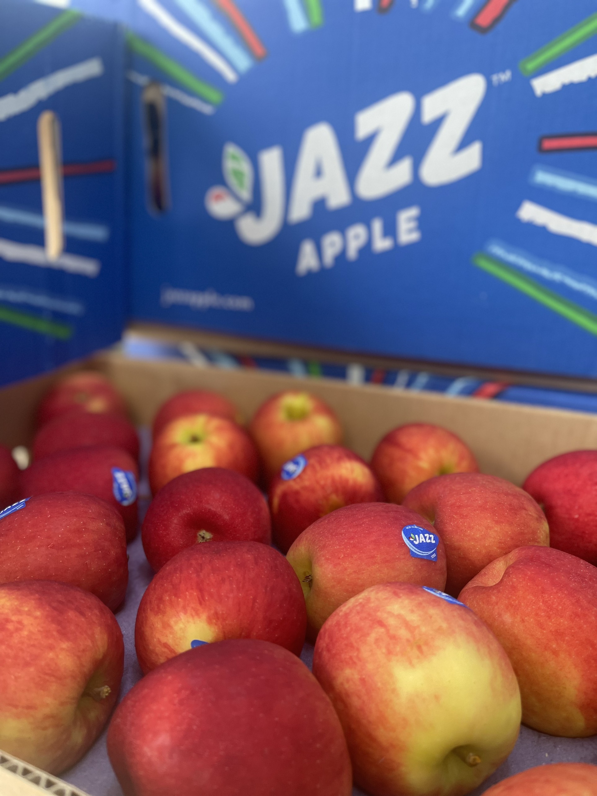 Táo Jazz NZL sz 90