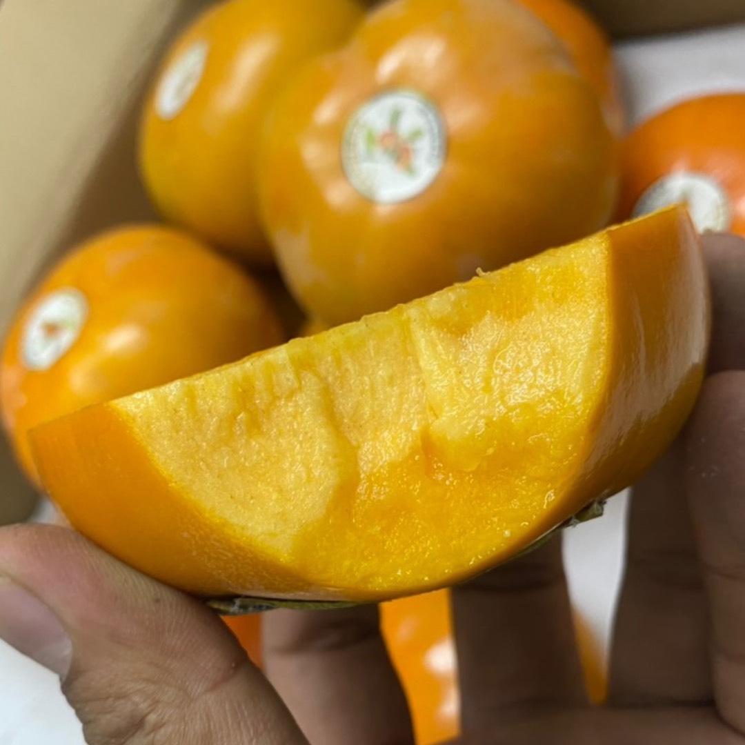 Hồng mật Fuyu Vân Sơn cao cấp