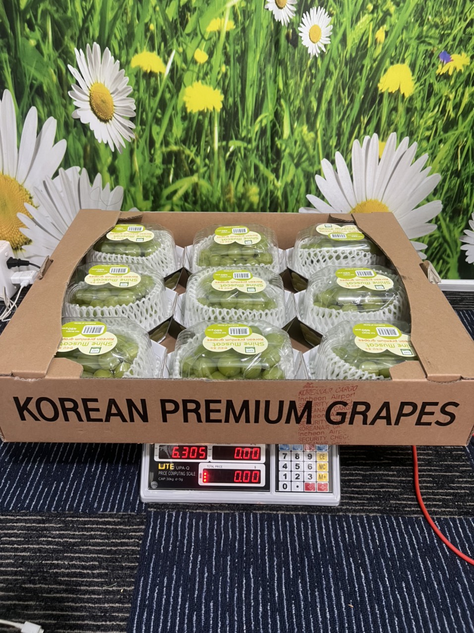 Nho Mẫu Đơn Greenvil Hàn Quốc (hộp 450gr)