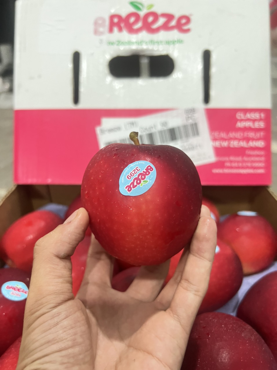 Táo Breeze NewZealand s90