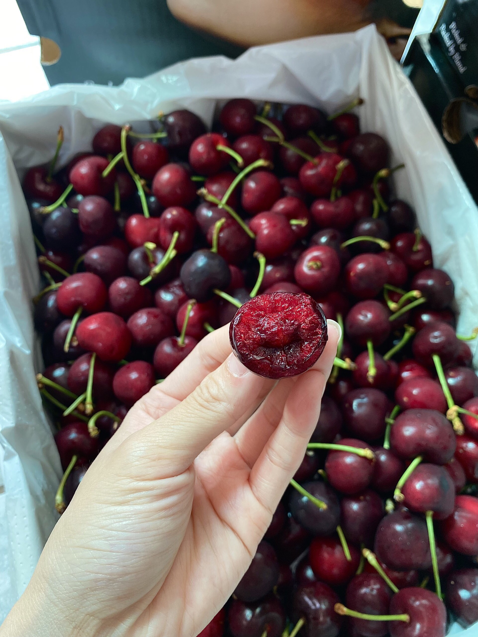 Cherry Sebires s28-30