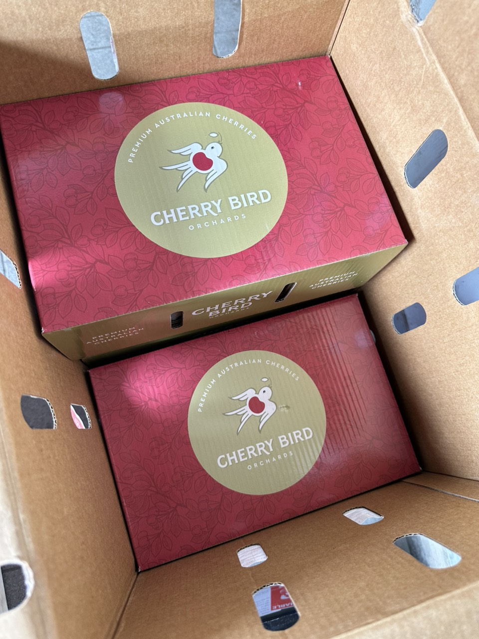 Cherry Bird Premium AUS 30-33