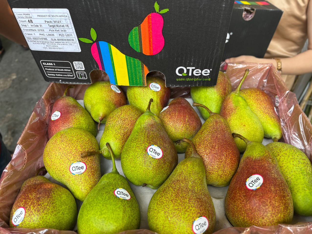 Lê Bỉ đỏ size 45