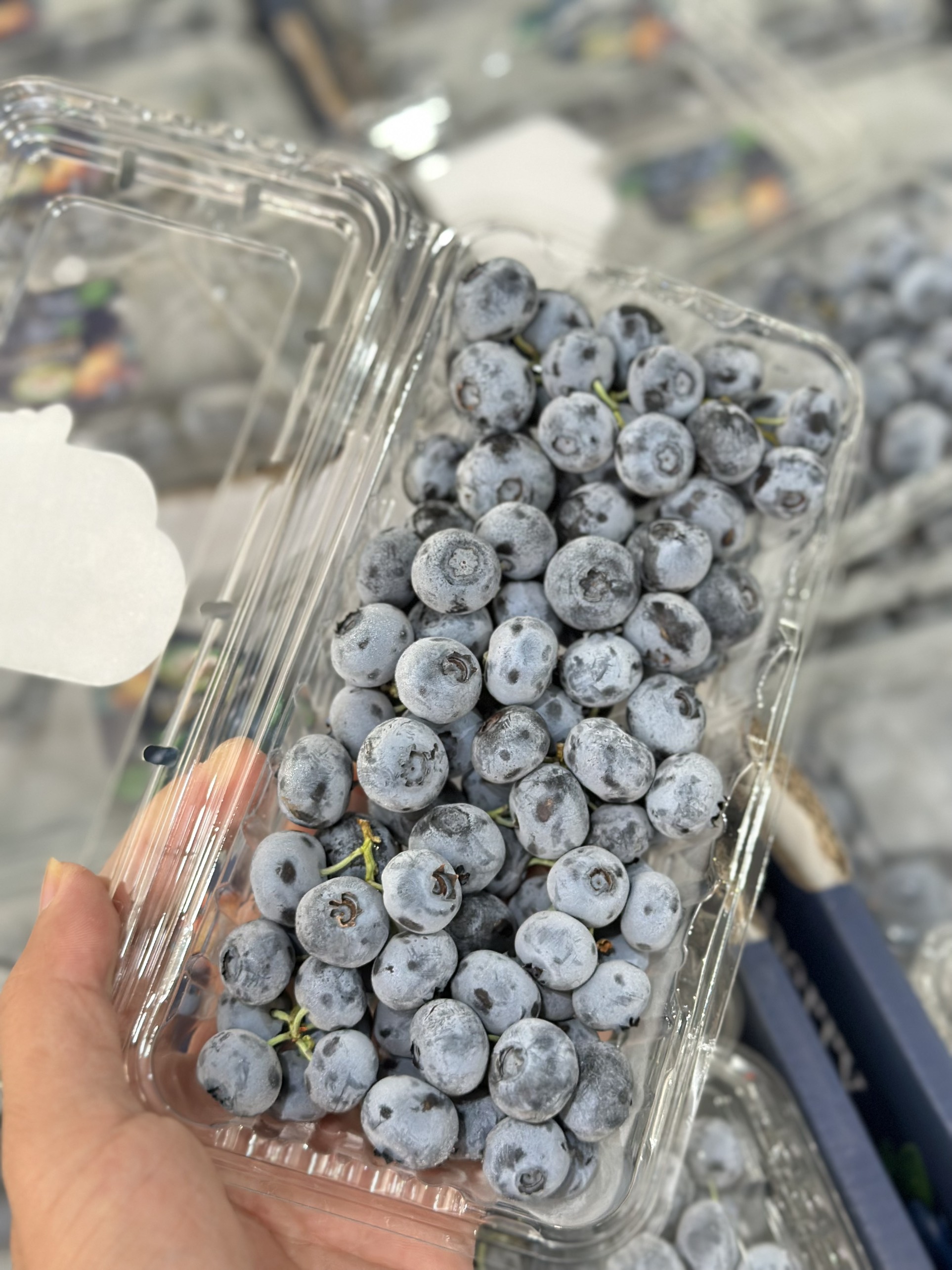 Việt quất Thái hộp 250g