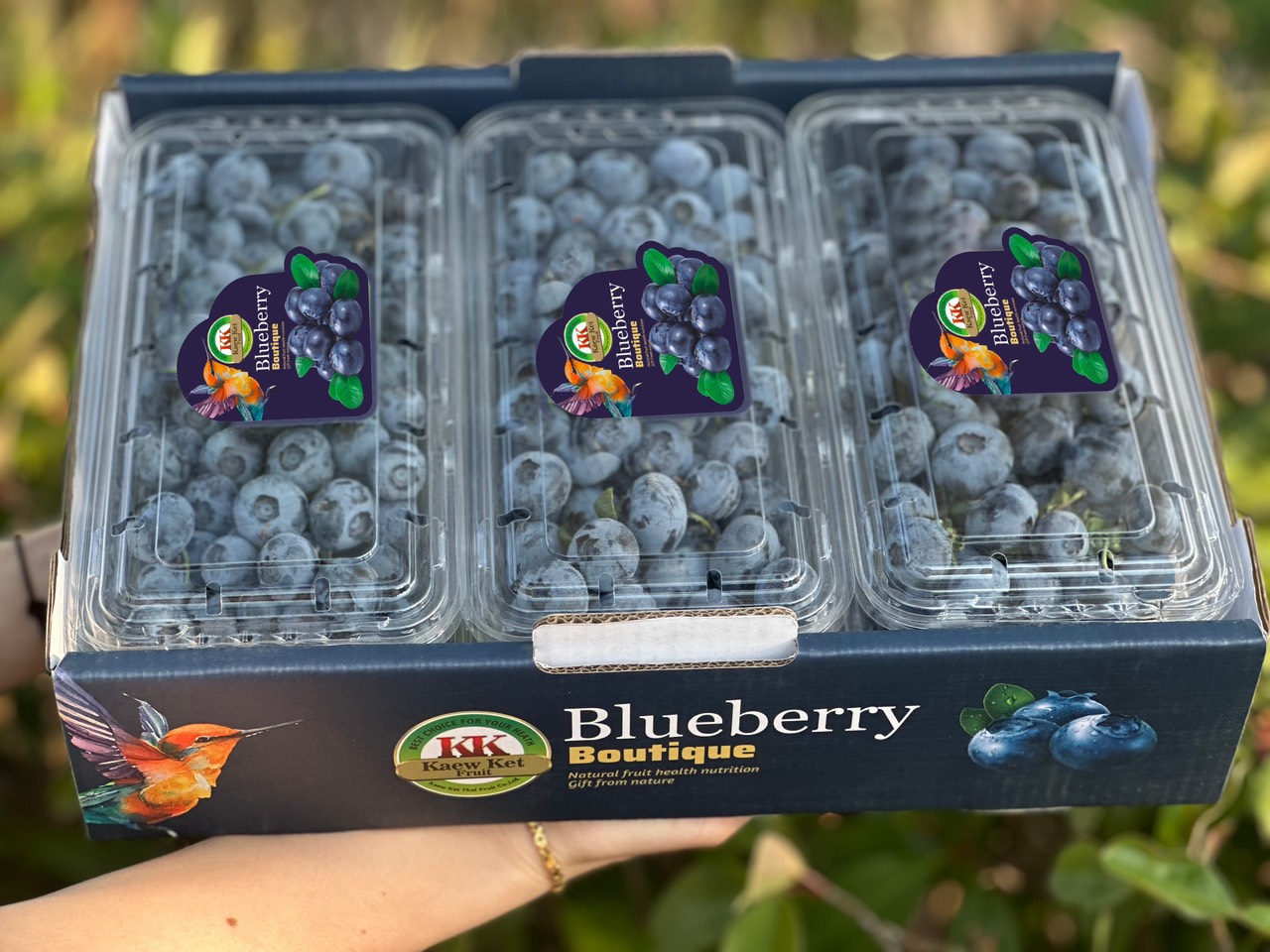 Việt quất Thái hộp 250g